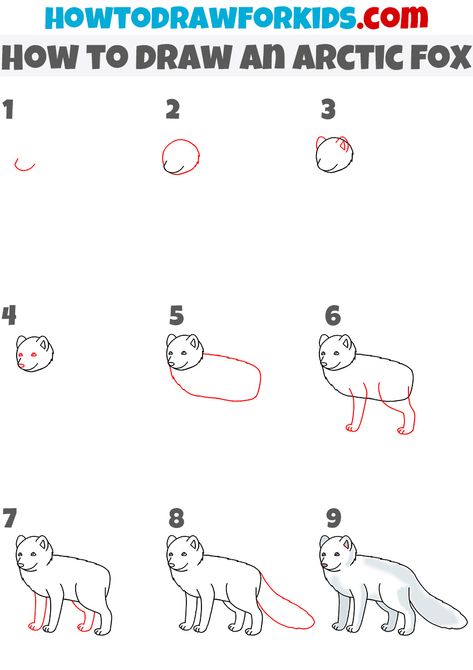 How to Draw an Arctic Fox - Easy Drawing Tutorial For Kids How To Draw Arctic Animals, Artic Fox Drawings, Arctic Fox Drawing, Fox Drawing Tutorial, Fox Drawing Easy, Wolf Drawing Easy, Project Drawing, Animal Templates, Fox Drawing