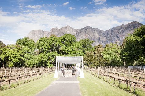 Vineyard Wedding Centerpieces, Cape Town Wedding Venues, Vineyard Wedding Ceremony, Outdoor Vineyard Wedding, Wedding South Africa, Beach Wedding Centerpieces, Beach Theme Wedding Invitations, Cape Town Wedding, Beach Wedding Flowers