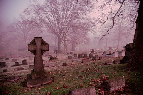 Mortuary Science, Pink Goth, Atlas Obscura, Southern Gothic, Halloween Banner, Gothic Aesthetic, Pittsburgh Pennsylvania, House In The Woods, Graveyard