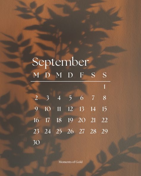 Die neuen September Hintergrundbilder sind da! 🍂🌧️ Freut ihr euch auch schon so auf den Herbst wie ich? In meiner Story und im Highlight ‘Wallpaper’ findest du auch noch ein paar einfarbige Hintergründe in minimalistischem Design 🤎 🏷️ #monthlywallpaper #handyhintergrund #hintergrundbilder #phonewallpapers #septemberwallpaper #autumnaesthetic #fallaesthetic #fallvibes #cozyfallvibes Highlight Wallpaper, September Wallpaper, 9 And 10, Mood Boards, In This Moment, 10 Things, Quick Saves, Design