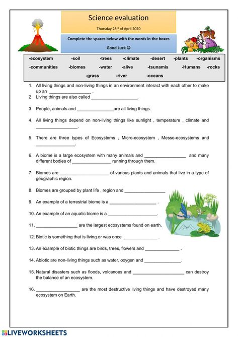 Ecosystem Activities, Grade 3 Science, 5th Grade Worksheets, Relationship Worksheets, Biology Worksheet, Worksheets For Grade 3, 5th Grade Science, Science Curriculum, Science Worksheets