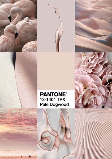 Pale Dogwood one of top colors for spring 2017. “Reminiscent of the hues that surround us in nature, our Spring 2017 Fashion Color Report evokes a spectrum of emotion and feeling.” #paledogwood #trend #color #spring #2017 Spring Colour Nails, Spring Nails Inspiration, Pale Dogwood, Nails Inspiration Spring, Colors For Spring, Brand Color Palette, Mood Board Inspiration, Mood Board Design, 2017 Fashion