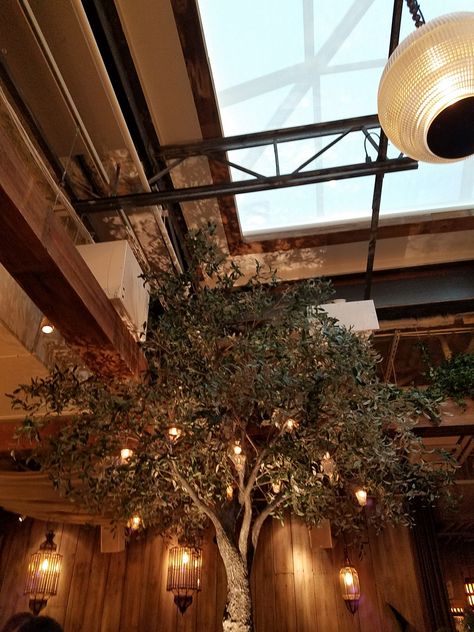 Fig tree in restaurant  Aba Chicago Trees In Restaurants, Tree In Restaurant, Tree Bar, Tree Restaurant, Tree Structure, Industrial Cafe, Restaurant Ideas, Event Themes, Fig Tree