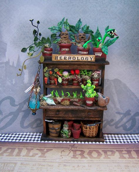 Disney Miniatures, Professor Sprout, Harry Potter Professors, Harry Potter 3d, Mini Shelf, Harry Potter Miniatures, Harry Potter Dolls, Haunted Dollhouse, Anniversaire Harry Potter