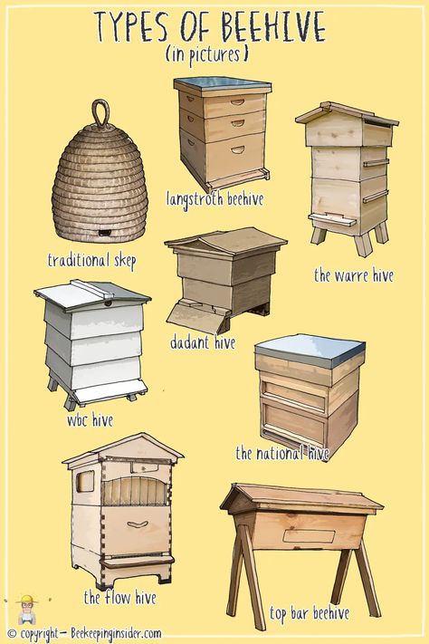 Different Types of Bee Hives With Pictures (How Many Are There?) | Beekeeping Insider How To Become A Bee Keeper, Bee Hive Garden, Flow Hive Beekeeping, Beekeeping Aesthetic, Bee Keeping For Beginners, Make A Bee Hive, Bee Types, Cute Bee Hive, Beehive Ideas