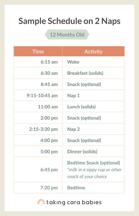 12 Month Nap Schedule, 12 Month Old Schedule, 12 Month Sleep Regression, Baby Naps, Moms On Call, Baby Sleep Training, Taking Care Of Baby, Baby 12 Months, Baby Routine