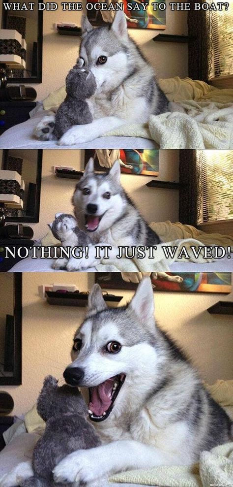 17 Pun Dog Puns That Will Instantly Brighten Your Day Husky Jokes, Bad Pun Dog, Husky Humor, Dogs Husky, Funny Dog Jokes, Best Dad Jokes, Dog Puns, Husky Funny, Dog Jokes