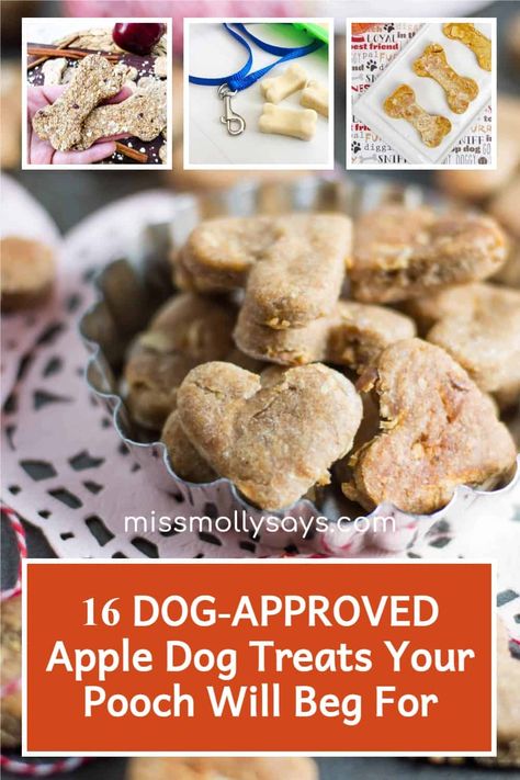 Spinach Apple Carrot Dog Treats, Recipe For Healthy Dog Treats, Apple Banana Dog Treats, Dog Treats With Apples, Apple Peanut Butter Dog Treats, Apple Dog Treats Homemade Easy, Apple Sauce Dog Treats Recipes, Apple Dog Treats Homemade, Apple Sauce Dog Treats