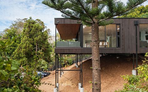 LTD architectural elevates duncansby road house in new zealand to offer sea views  www.designboom.com Downhill House, Houses On Slopes, House On Slope, Pole House, Slope House, Architectural Design Studio, Hillside House, House On Stilts, Cliff House