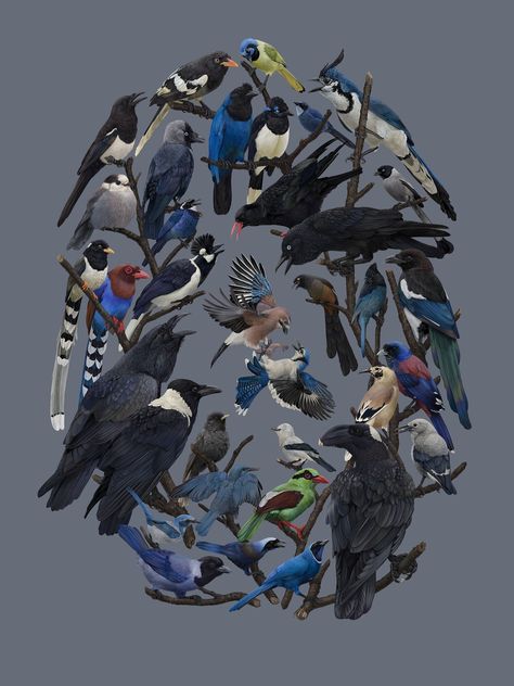 Terrestrial Biodiversity — Zoe Keller Nature Art Gray Jay, Cecropia Moth, Spider Species, Owl Species, Arctic Tundra, Forest Habitat, Screech Owl, At Noon, Owl Print