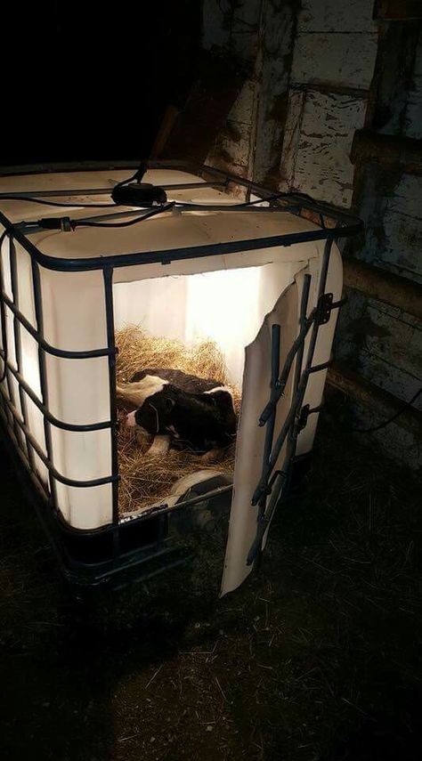 Lamb/calf warmer Goat Shelter, Farm Hacks, Goat House, Goat Care, Goat Barn, Dog House Diy, Farm Projects, Cattle Farming, Mini Farm