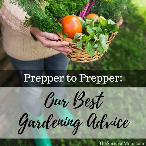 best garden advice, gardening tips, best gardening tips Survival Homestead, Produce Garden, Prepper Ideas, Survival Garden, Vegetable Benefits, Survival Gardening, Homestead Survival, Master Gardener, Gardening Advice