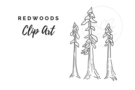 This Clip Art & Image Files item by MaryClareCreates has 31 favorites from Etsy shoppers. Ships from United States. Listed on Apr 28, 2024 Scrapbooking Wallpaper, Tree Line Drawing, Ink Line Art, Tree Clip Art, Best Girlfriend Ever, Black And White Minimalist, Line Art Illustration, Stickers Art, Redwood Tree