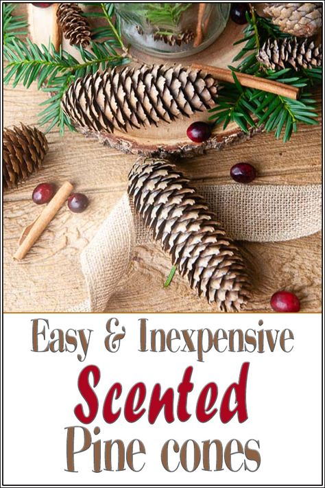 Make Cinnamon Pinecones, Scented Pinecones Diy, How To Make Cinnamon Scented Pinecones, Scented Pine Cones Decor, How To Make Pine Cones Smell Like Cinnamon, Cinnamon Pinecones, Scented Pine Cones, Christmas Rolls, Christmas Tree Brownies