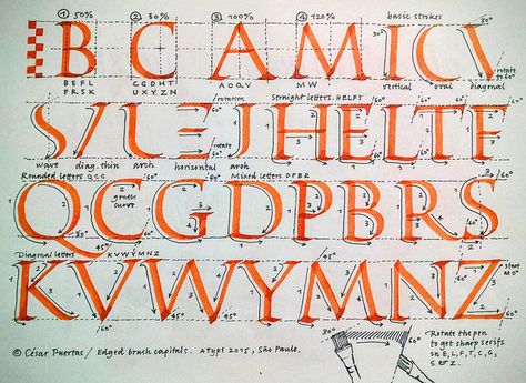 Calligraphy Exemplar, Roman Capitals, Capital Fonts, Art Sub Lessons, Nib Calligraphy, Fonts Handwriting Alphabet, Drawing Instructions, Calligraphy I, Pen Calligraphy