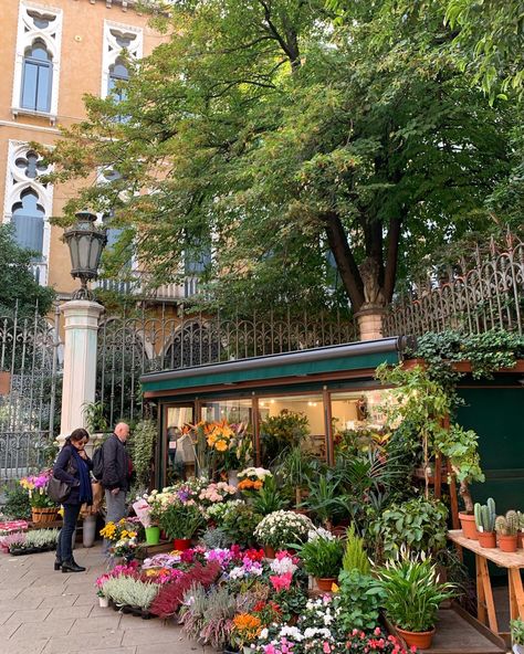 flowers, flower shop, green, pink, plants, aesthetic, italy, aesthetic shop Flower Shop Aesthetic, Pink Plants, Aesthetic Italy, Plants Aesthetic, Aesthetic Japanese, Shop Aesthetic, Aesthetic Shop, Italy Aesthetic, Minecraft Ideas