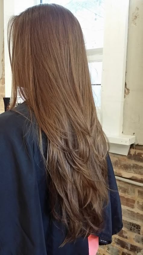 Brown Hair Colors Long Layers, Brunnete Long Hair Aesthetic, Straight Long Brown Hair With Layers, Triangle Layers Haircut Long Hair, Layers For Long Hair Brown, Layers Brown Hair Long, Blonde Long Layers Straight, Layers For Long Brown Hair, Brown Layered Hair Long