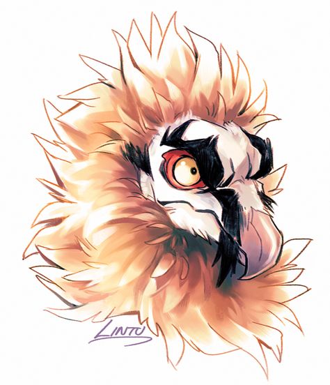 Anthro Vulture, Bearded Vulture Aarakocra, Lammergeier Art, Vulture Bird Art, Bearded Vulture Character Design, Vulture Aarakocra, Bearded Vulture Art, Bird Oc Art, Bird Character Art