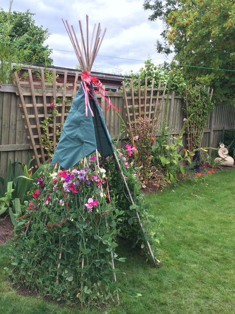 Half teepee half tent! Sweet peas not quite tall enough but still want kids to have outdoor teepee experience. Garden Design For Kids, Outdoor Teepee, Natural Play Spaces, Kid Friendly Backyard, Kids Play Spaces, Play Garden, Have Inspiration, School Garden, Play Spaces