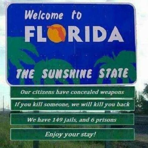 welcome to florida - Yahoo Image Search Results Florida Aesthetic, State Signs, Florida Life, Florida Girl, Moving To Florida, Visit Florida, State Of Florida, 2023 Vision Board, Sunshine State