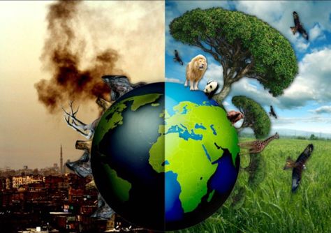 Humans are speeding up the process to destroy the environment by allowing technology  to come over us (Mckibben, the end of nature). True nature has been replaced by artificial nature because people can't see the effects that the "end of nature" might bring (mckibben). Technology is taking over the environment and we have to come together to help solve it.  https://news.vice.com/article/humans-are-destroying-the-environment-at-a-rate-unprecedented-in-over-10000-years Save Mother Earth, Save Environment, Buddhist Philosophy, Water Pollution, Reducing Waste, We Are The World, Jehovah's Witnesses, Green Energy, Save Earth