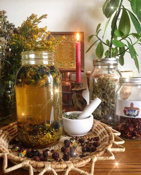 Herb Astetic, Herbs In Jars Aesthetic, Black Women Herbalist, Apothecary Shop Aesthetic, Black Herbalist, Herbal Apothecary Aesthetic, Herbalism Aesthetic, Herbalist Aesthetic, Apothecary Skincare