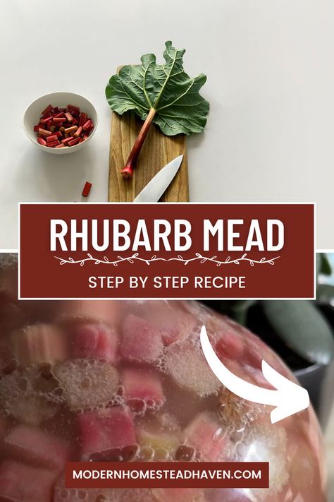 This super easy to follow recipe is perfect for beginners looking to make their first batch of mead. Or maybe you're a seasoned mead making pro and you're looking for flavor inspo! Either way, this natural & boozy (fermented) drink is the perfect addition to a sustainable life. Rhubarb Mead Recipe, Mead Recipes Homemade, Mead Recipes, Mead Making, Making Alcohol, Nordic Diet, Mead Wine, Mead Recipe, Liqueurs Recipes