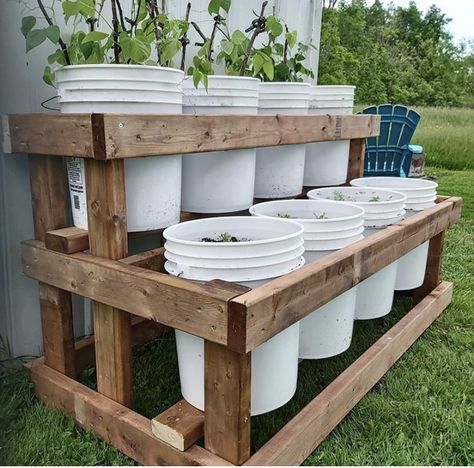 Bucket Gardening 5 Gallon Stand Plans, 5 Gallon Bucket Garden Stand, 5 Gallon Bucket Planter Stand, Bucket Planter Stand, 5 Gallon Bucket Planter Ideas, Bucket Garden Stand, Moveable Garden, Fruit Cages, Backyard Raised Garden