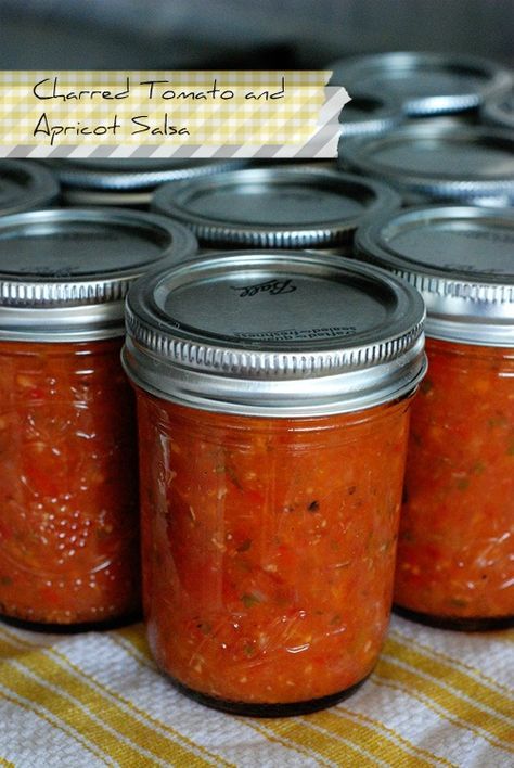 Apricot Salsa, Salsa Canning Recipes, Simplified Home, Summer Fruit Recipes, Golden Afternoon, Apricot Recipes, Canned Goods, Jam And Jelly, Heirloom Tomatoes