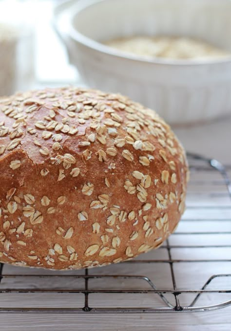 no-knead honey whole wheat bread | The Clever Carrot Whole Wheat Bread Recipes, Wheat Sandwich Bread Recipe, Wheat Bread Recipes, Honey Whole Wheat Bread, The Clever Carrot, Clever Carrot, Wheat Flour Recipes, Honey Wheat Bread, Wheat Bread Recipe