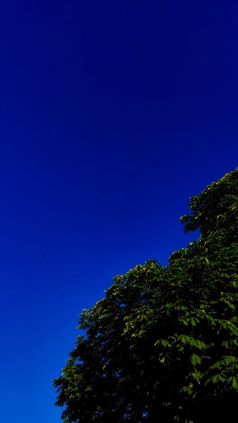 Deep blue sky without clouds Sky Without Clouds, Peace And Chaos, Dark Blue Sky, Sky Brown, Summer Sky, Sky And Clouds, Deep Colors, In Summer, Book Covers