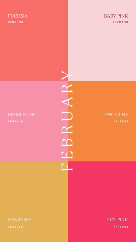 6 Color Combinations Colour Palettes, February Colors Palette, Fun Color Palette With Hex Codes, Pretty Pink Color Palette, Self Love Color Palette, Color Schemes Graphic Design, Colorful Branding Palette, Bold Branding Design Color Palettes, Graphic Design Palette Color