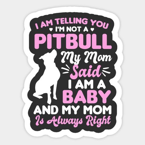 Pitbull dog graphic design with quote that says i'm telling you i'm not a pitbull my mom said i'm a baby and my mom is always right. Makes a great gift for pitbull moms and mamas. -- Choose from our vast selection of stickers to match with your favorite design to make the perfect customized sticker/decal. Perfect to put on water bottles, laptops, hard hats, and car windows. Everything from favorite TV show stickers to funny stickers. For men, women, boys, and girls. Pitbull Mom Quotes, Dog Graphic Design, Pitbull Quotes, Decal Ideas, Pitbull Mom, Pitbull Puppy, Dog Shirts, Sticker Ideas, Pitbull Lover