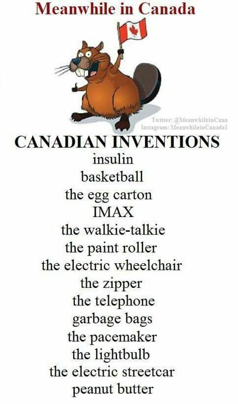 Canadian Facts, Canada Day Crafts, Canada Party, Canada Day Party, Meanwhile In Canada, Canadian Things, I Am Canadian, World Thinking Day, Canada Eh