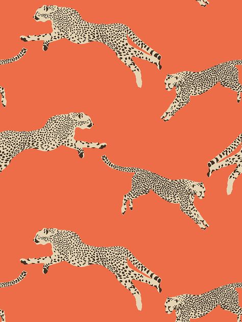 Cheetah Wallpaper, Cheetah Print Wallpaper, Animal Print Wallpaper, Wallpaper Rolls, Preppy Wallpaper, Iphone Prints, Cheetahs, Print Wallpaper, Leopards