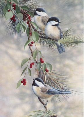 Christmas birds: this background makes it very realistic Birds Sitting, Winter Birds, Winter Bird, Christmas Bird, China Painting, Bird Pictures, Christmas Scenes, Paint By Numbers, Bird Drawings