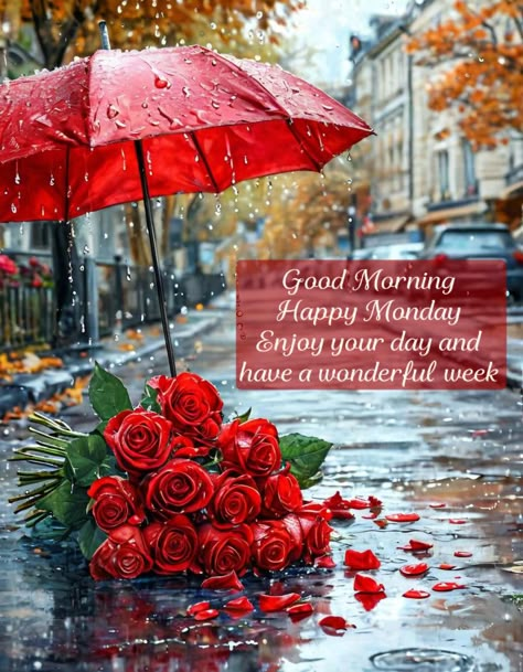 Happy Rainy Monday, Monday Morning Images, Good Morning Quotes Funny, Rainy Monday, Have A Blessed Week, Good Morning Animated Images, Good Monday Morning, Blessed Week, Good Morning Happy Monday