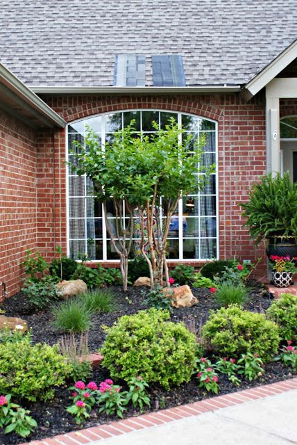 Small Front Yard Landscaping, Plans Architecture, Front Yard Garden Design, Front Landscaping, Front Yard Landscaping Simple, Landscape Designs, Front Yard Garden, Landscaping Tips, Plants And Flowers