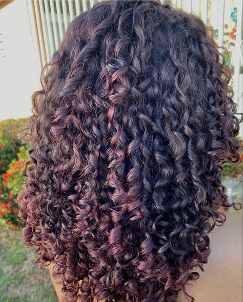 Curly Hair With Colored Ends, Red Violet Curly Hair, Died Hairstyles Hair Dye Curly, Unique Curly Hair Color, Pink Highlights In Brown Curly Hair, Dyed Curly Hair Ideas Colour Red, Deep Red Curly Hair, Hair Colour Curly Hair, Cherry Brown Curly Hair