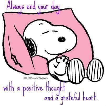 Good afternoon & Evening Thursday fun Good Morning Positive Thoughts, Good Morning Positive, Peanuts Quotes, Charlie Brown Quotes, Quotes Good Morning, Snoopy Funny, Snoopy Images, Peanuts Cartoon, Snoopy Quotes