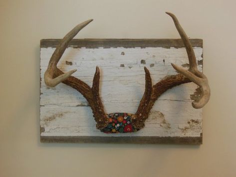 Antler jewelry holder