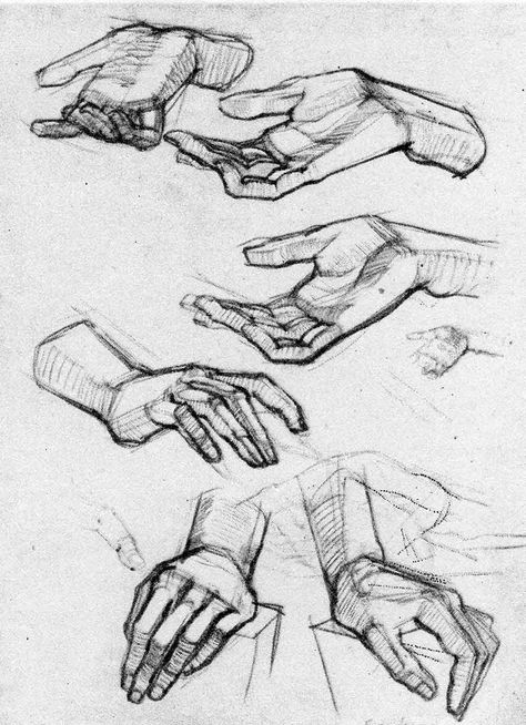 Sketches Of Hands, Ako Kresliť, Easy Drawing Ideas, Human Anatomy Drawing, Hand Drawing Reference, Human Figure Drawing, Human Anatomy Art, Anatomy Sketches, Drawing Studies