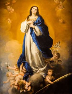 Prayer to be said when using Lourdes water :: Catholic News Agency Immaculate Conception Of Mary, Assumption Of Mary, Mama Mary, Catholic Images, Immaculate Conception, Blessed Mother Mary, Religious Images, Holy Mary, Blessed Virgin