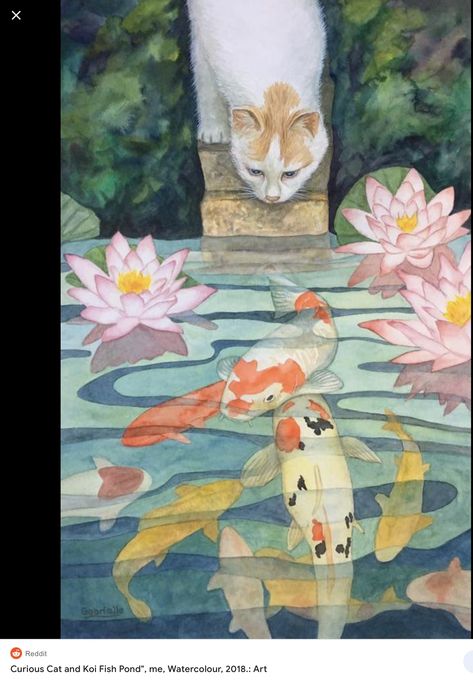 Cat And Koi Fish, Give And Receive, A Place For Everything, Koi Fish Pond, Curious Cat, Fish Pond, Koi Fish, Free Art, Cat Pics