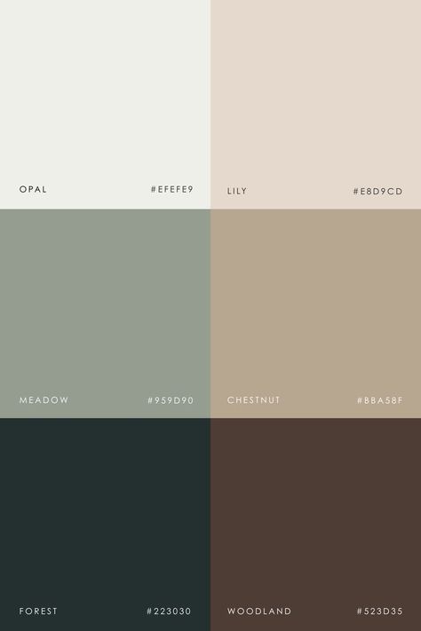 Whole House Paint Scheme, Cozy Colors Palette, Smart Interior Design, Cozy Colors, House Color Palettes, Natural Palette, Brown Color Palette, Color Schemes Colour Palettes, Earthy Color Palette