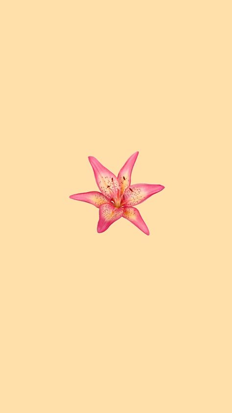 summer, tropical, sunscreen, flowers Pink Beach Aesthetic, Flower Wallpaper Aesthetic, Beach Yellow, Aesthetic Tropical, Iphone Wallpaper Classy, Tropical Wallpaper, Old Cottage, Iphone Layout, Pink Beach