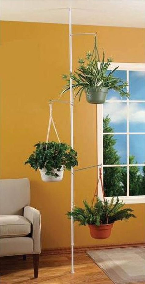 AmazonSmile : SPRING TENSION ROD INDOOR PLANT POLE WITH 3 ADJUSTABLE ARMS : Plant Stands : Gateway Plant Pole, Plant Holders Indoor, Pole Stand, Plant Stands Outdoor, Hanging Plant Holder, Hanging Plants Indoor, Diy Plant Hanger, Meteor Garden 2018, Provence Style