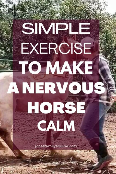 Horse trainer doing a groundwork training exercise with a spooky horse Reining Horses Training, Round Pen Exercises For Horses, Horse Ground Work Exercises, Horse Psychology, Horse Riding Exercises, Liberty Horse Training, Ground Work For Horses, Horse Stretches, Equine Exercises