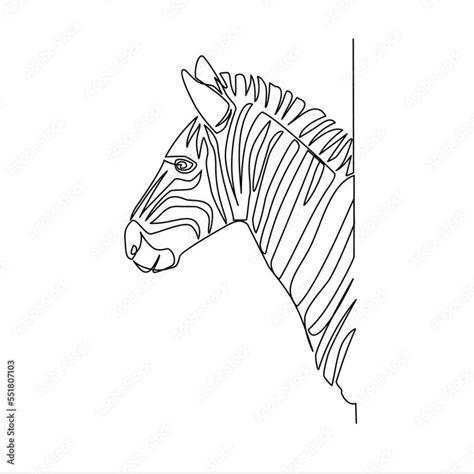 Zebra Line Art, Zebra Vector, Line Art Style, Art Faces, Frog Tattoos, Zebra Design, Anime Canvas Art, Draw Art, Hand Embroidery Design Patterns