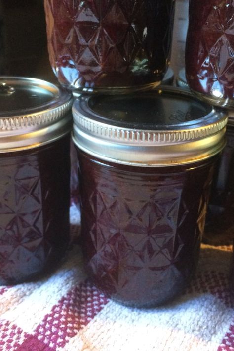 Blueberry and Raisin Jam | "I had a overabundance of blueberries but I couldn't find a recipes I liked so I tried something new and made this very tasty jam. Enjoy" #canningrecipes #picklingrecipes #canning #canningideas #pickling Raisin Jam Recipe, Raisin Jam, Peanut Butter Sandwiches, Home Canning Recipes, Peanut Butter Sandwich, Jam Recipe, Food Projects, Home Canning, Food Preservation